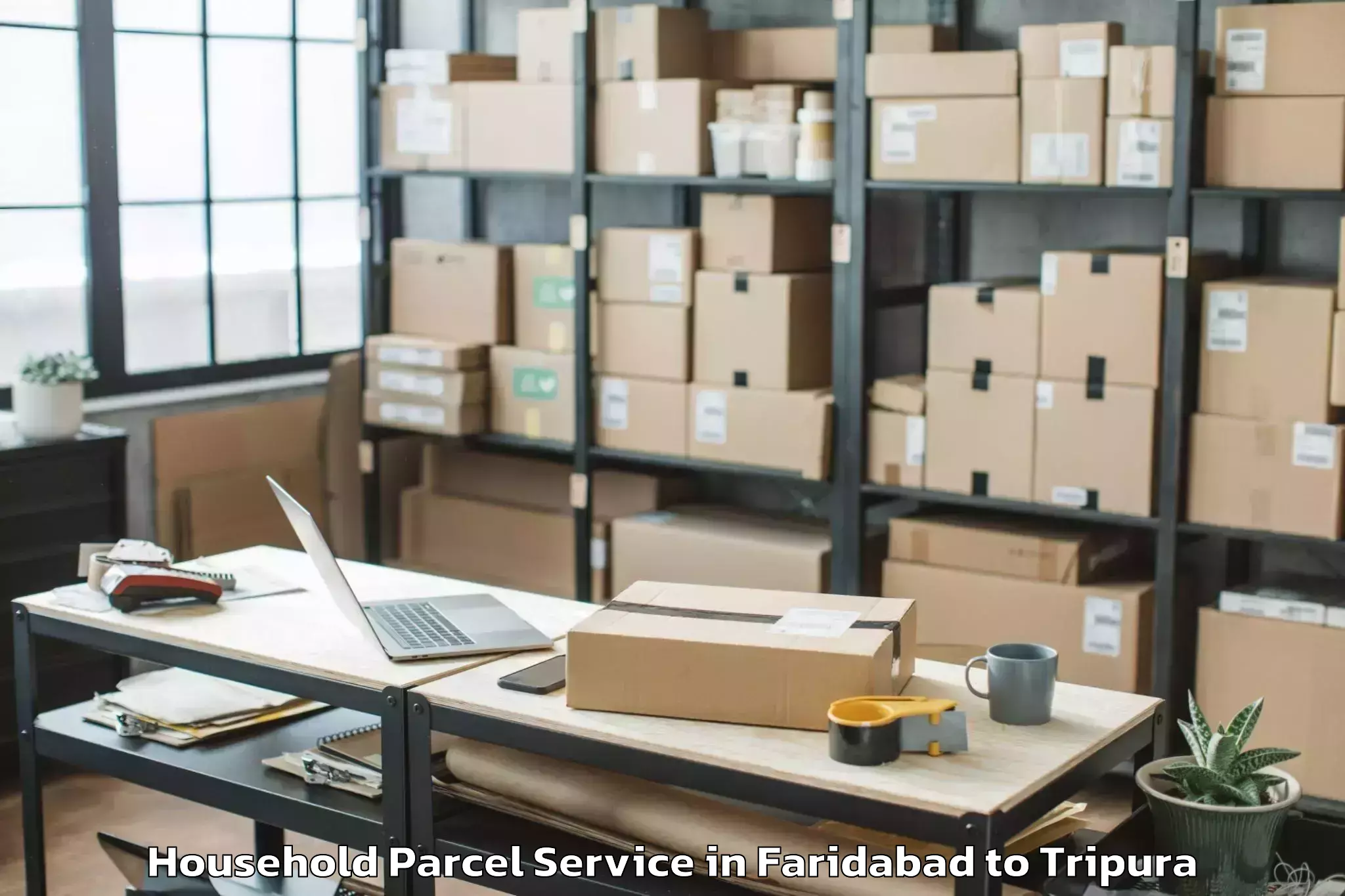 Easy Faridabad to Nit Agartala Household Parcel Booking